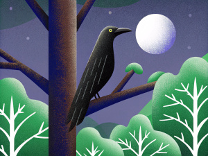 the raven on the tree, forest, moonlight, blue cast, Smooth picture