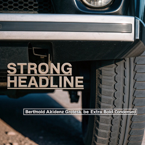 Berthold Akzidenz Grotesk BE Extra Bold Condensed: A robust, condensed sans-serif font, ideal for bold headlines and striking designs.