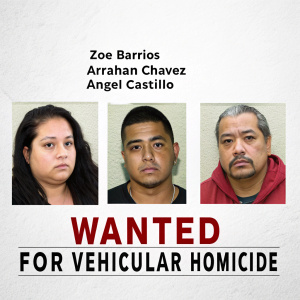 Digital wanted notice. Featured mugshots of fugitives Zoe Barrios, Abraham Chavez, and Angel Castillo. Background is a stark white. Caption reads 'WANTED FOR VEHICULAR HOMICIDE'