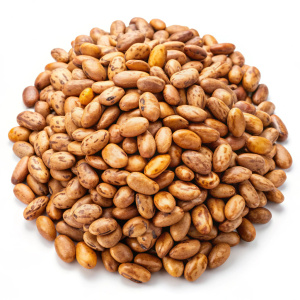 Pinto beans isolated on white background