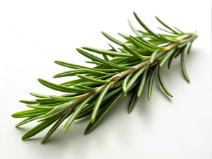 Rosemary