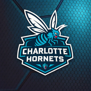 The official logo for Charlotte Hornets basketball team. Bold design featuring a hornet with blue and white colors. Set against a dark, geometric patterned background.