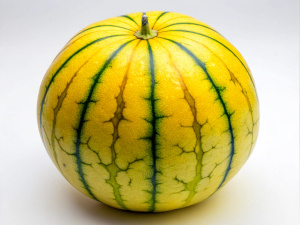 Yellow watermelon fruit