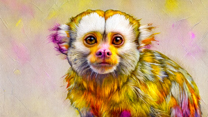 marmoset with human head