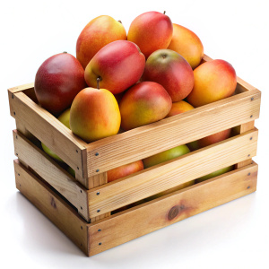 Crate of mangoes png
on white background
