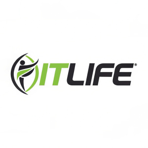 A sleek, modern logo for a fitness brand. Text reads 'FitLife' with an abstract figure emblem
