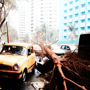 Heavy winds from cyclone Nisarga have toppled a tree onto a bustling Mumbai street, smashing into a yellow taxi. Debris is strewn across the road, with parked cars and towering buildings in the background.