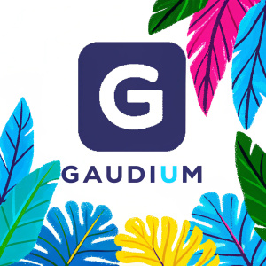 The logo for Gaudium, featuring a stylized G, deep navy blue and clean white, modern typography design.