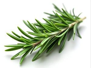 Rosemary