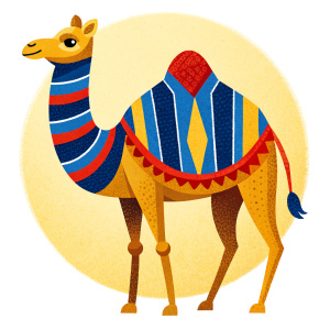 Camel with arabic dress, white background