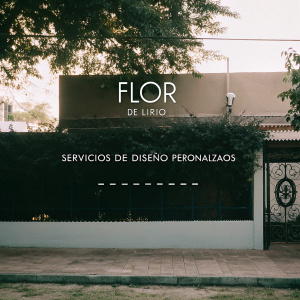 Homepage of Flor De Lirio Design Studio. Vibrant color scheme, Spanish text describing bespoke design services.