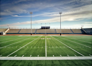 On the blurred background of the empty football field