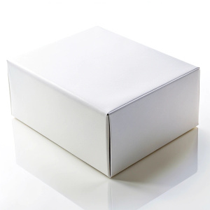 rectangular box, glossy white cardboard, Mockup, white background