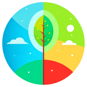  quiz "four seasens"  spring, summer, fall,winter