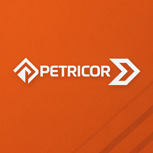 Logo design for Petricor featuring a sleek, abstract symbol to the right of the text. The symbol is a minimalist geometric shape with clean lines and a modern feel. Set against a vibrant orange background, the sans-serif font is simple and contemporary, perfectly complementing the design.