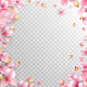 flower petals on a transparent background in the corners