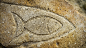 Fish symbol etched in ancient stone.

