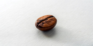 a single light roasted coffee bean, laying on a white table. The been it's placed lightly to the right of the image.