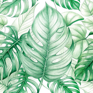 
Tropical leaves  design ,solıd backgraund .laying repead.

