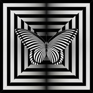 optical illusion of a butterfly and black and white lines around it

