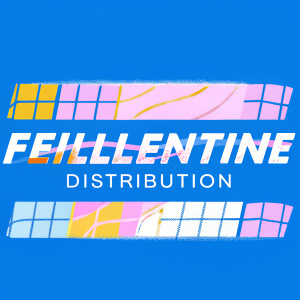 A sleek and modern logo for Feillentine Distribution. Utilizes bold sans-serif font in monochromatic grayscale, featuring simple linear design and minimalist aesthetic.