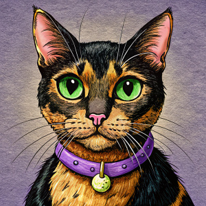 gato con manchas negras y manchas naranjas que tiene un collar morado con cascabel