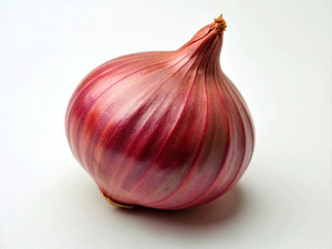 Shallot
