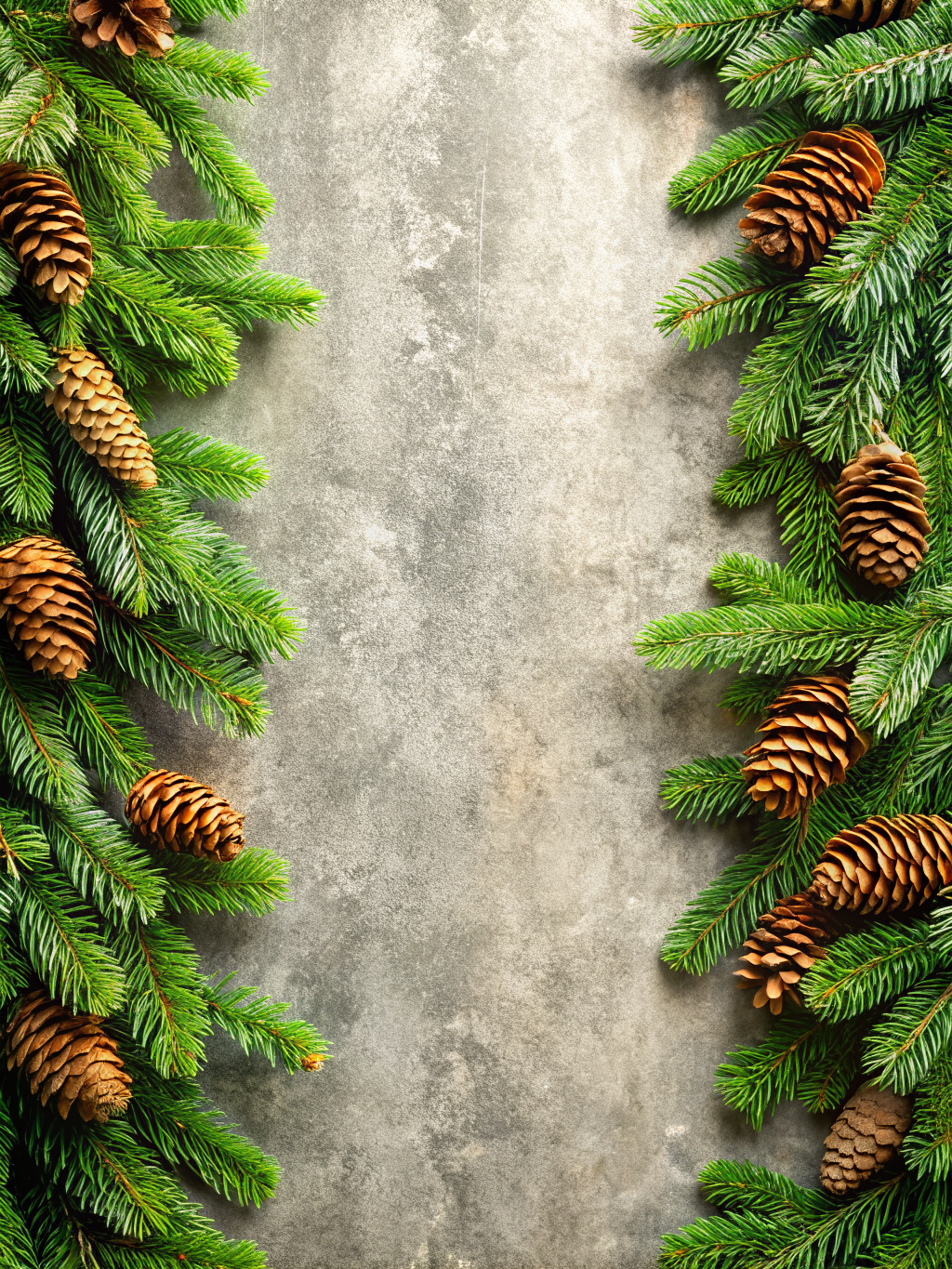 two-side vertical border Cascades fir bunches  with fir cones with cones and light soft concrete background 
