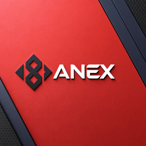 A sleek and modern logo design featuring brand name 'Anex'. Bold geometric symbol in dark and sleek color on one side, vibrant red on the other. Contemporary style.