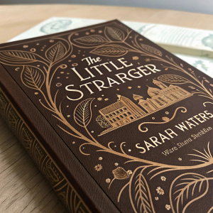 Close-up of 'The Little Stranger' by Sarah Waters. The book cover predominantly brown, intricate design with textured look. Focused on the text and design.