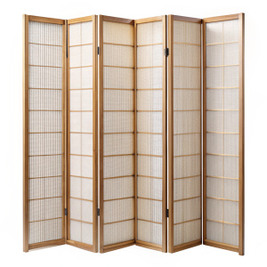 Folding Screen PNG on white background


 
 
