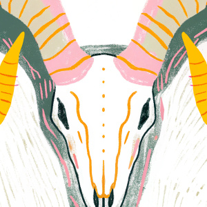 3D model of a markhor's skull. Detailed horns and textured skin. Dark background emphasizes form and texture