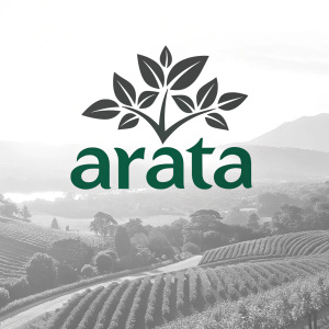 Modern logo for Arata Delivery. Simple sans-serif text 'Arata' in green over a minimalist black and white background, featuring a stylized plant motif.
