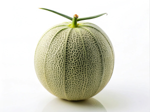 Cantaloupe, Fruit