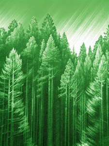 Dark summer green forests , a sentimental mood that's worthy of a phone wallpaper, and monochrome, Old sepia tones or uneven textures