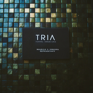 A sleek business card for Tria Terra Inmobiliaria. White background, vibrant green, brown, and gold squares. Professional font reads 'Mauricio S. Góngora Representante'