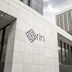 A sleek, modern logo design for Rin brand. Minimalist style, featuring Rin name and symbol in gray. Arranged in a grid pattern, neutral background.