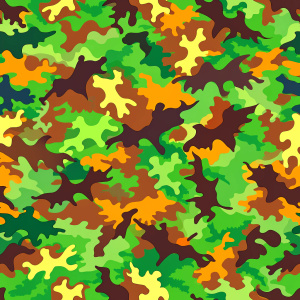 Camouflage Pattern