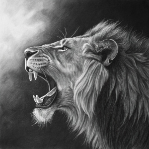 Realistic charcoal drawing of a lion's head. Detailed fur, wide open mouth showing sharp teeth. Dark background with subtle gray tones.