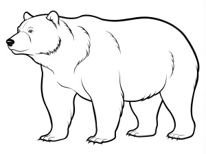 coloring page, wildlife, Grizzly Bear line art, realistic, 8k