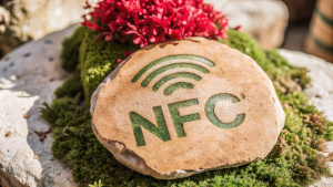 полустертый рисунок c надписью "NFC" на скале, частично скрытых под мхом, рядом выбито слово "story"