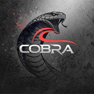 Dark and edgy logo design for Cobra brand. Grungy texture background, mental affection textual representation, modern and sleek style.