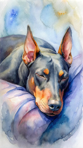 Doberman sleeping