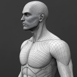 A digital 3D model of a male upper body. Complex wireframe mesh. Dark gray background. Focus on intricate details.