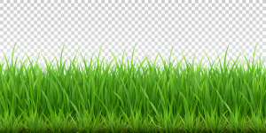 green grass field isolated on transparent background, png