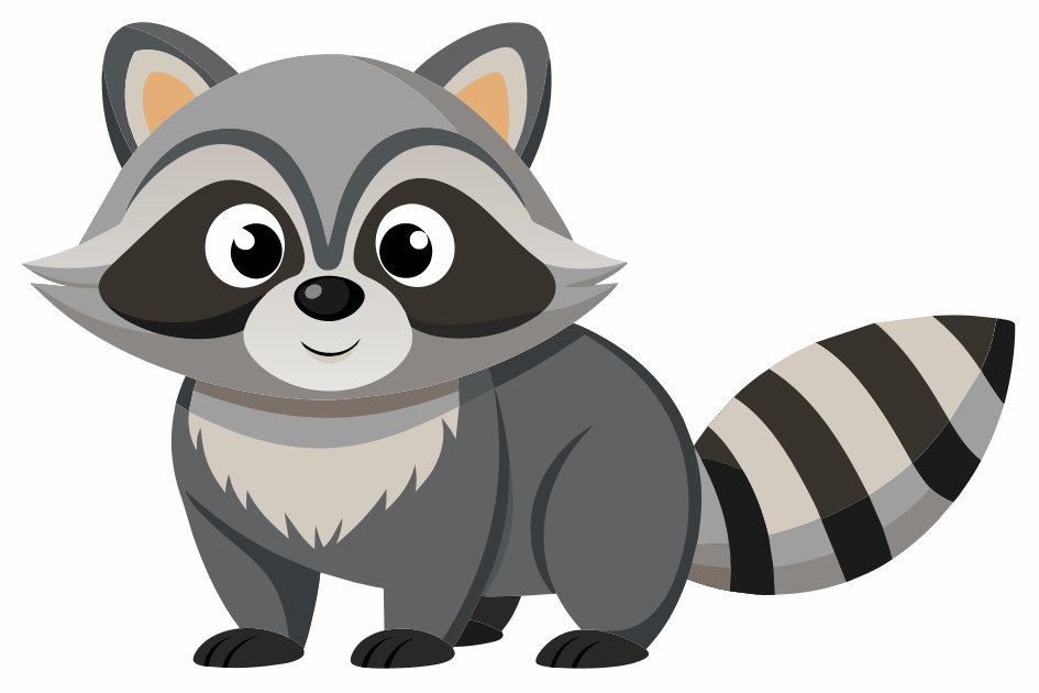 cute raccoon, clear borders, isolated on white background vector ...