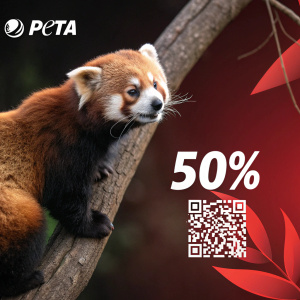 Ad for PETA catalog featuring red panda. Promote conservation efforts. QR code for 50% discount voucher. Dark background with red hue. Mix of white and red text.
