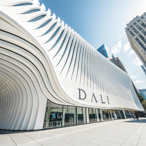 Salvador Dali's logo in a sleek, modern font with a wavy line, on a bright white background, creating a bold and sophisticated look.