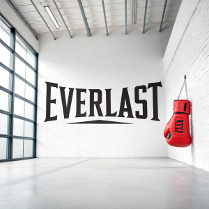 A sleek, modern rebranding of the Everlast logo. The design features bold, black typography paired with a striking red boxing glove symbol. The background is a crisp, bright white, maintaining a minimalist aesthetic.