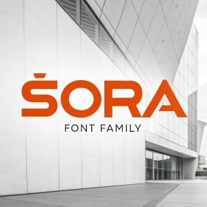 Modern logo design for 'Sora Font Family'. Bold, sans-serif typography in vibrant orange against a sleek, minimalist white background.